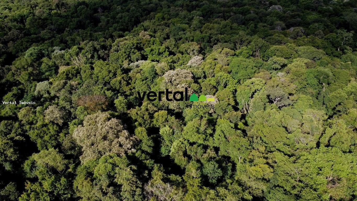 Compensação Ambiental para Venda, Santa Rosa / RS, bairro A3 Mata ...