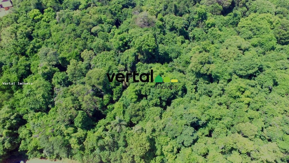 Compensação Ambiental para Venda, São Paulo / SP, bairro A3 Mata nativa ...